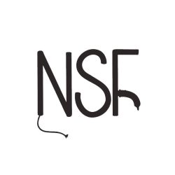 LOGO-NSF-NOIR